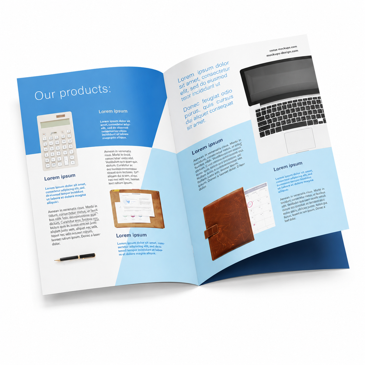 Flyers, Booklets, & Postcards